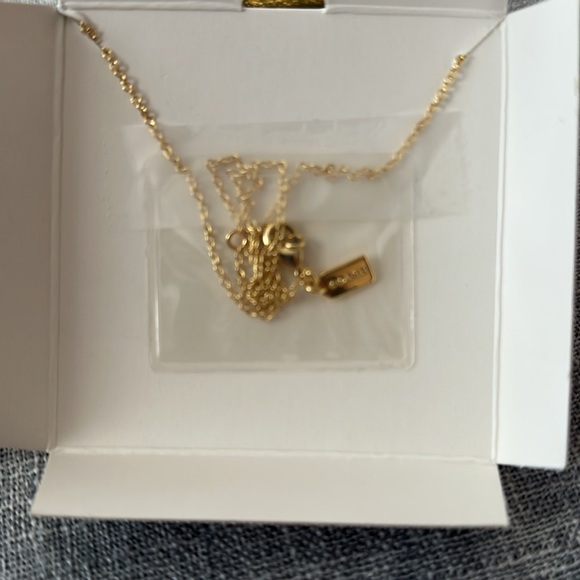 COACH Cherry Necklace 🍒 - Picture 4 of 4